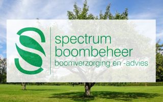 bomen-gent-spectrum